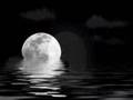 
		YouTube
				- Moein - Panjere (B hosele)
	