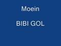 
		YouTube
				- MOEIN - BIBI GOL
	