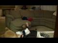 P&amp;B: Twin Boys Sofa Diving